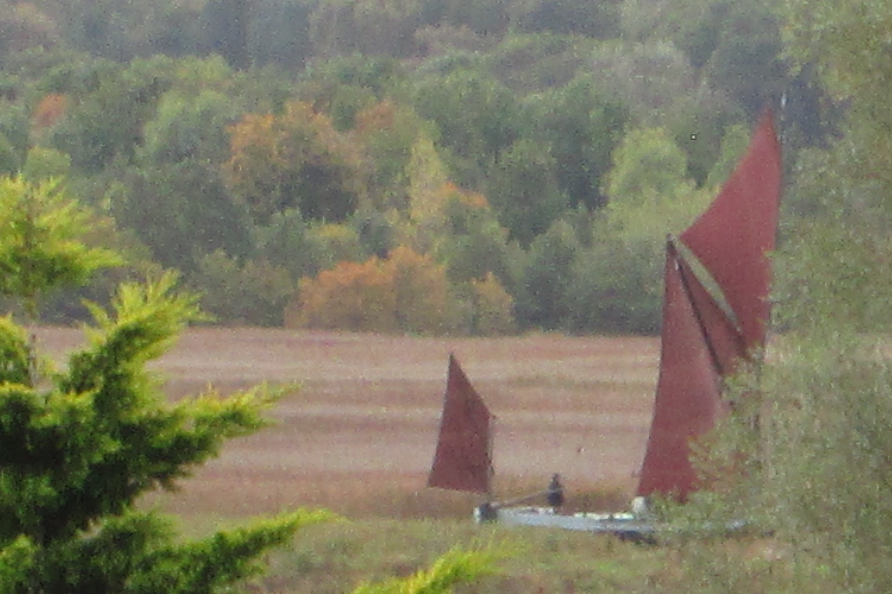 AGM 2020 and our Autumn plans