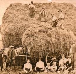 231120 Sons of the Soil family haymaking