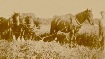 231120 Sons of the Soil horse team