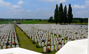Reflections on Flanders Field