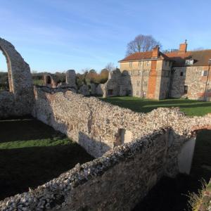 Leiston Abbey high view general