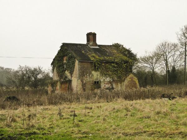 Coe Wood Cottages b4